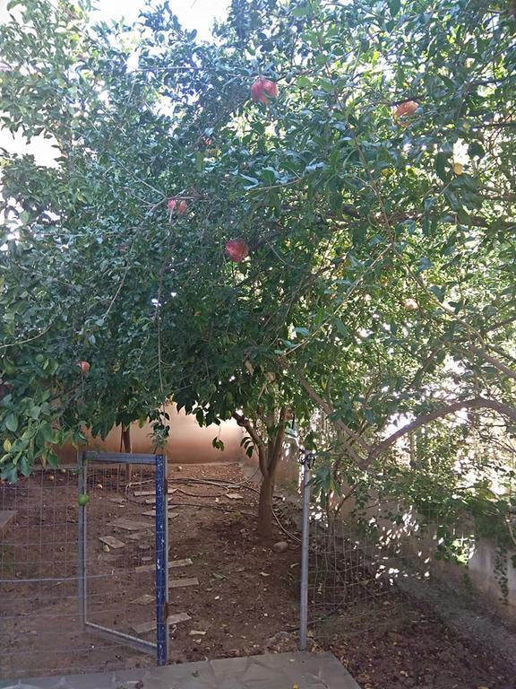 Rodi House Daire Anabolu Dış mekan fotoğraf